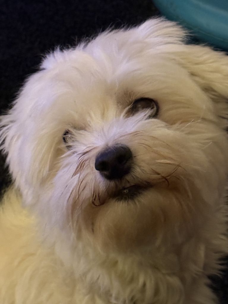 Bakou