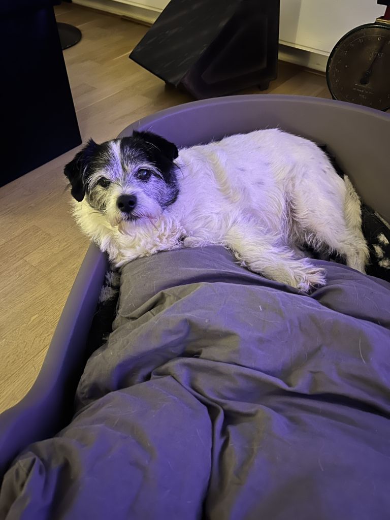 Max
