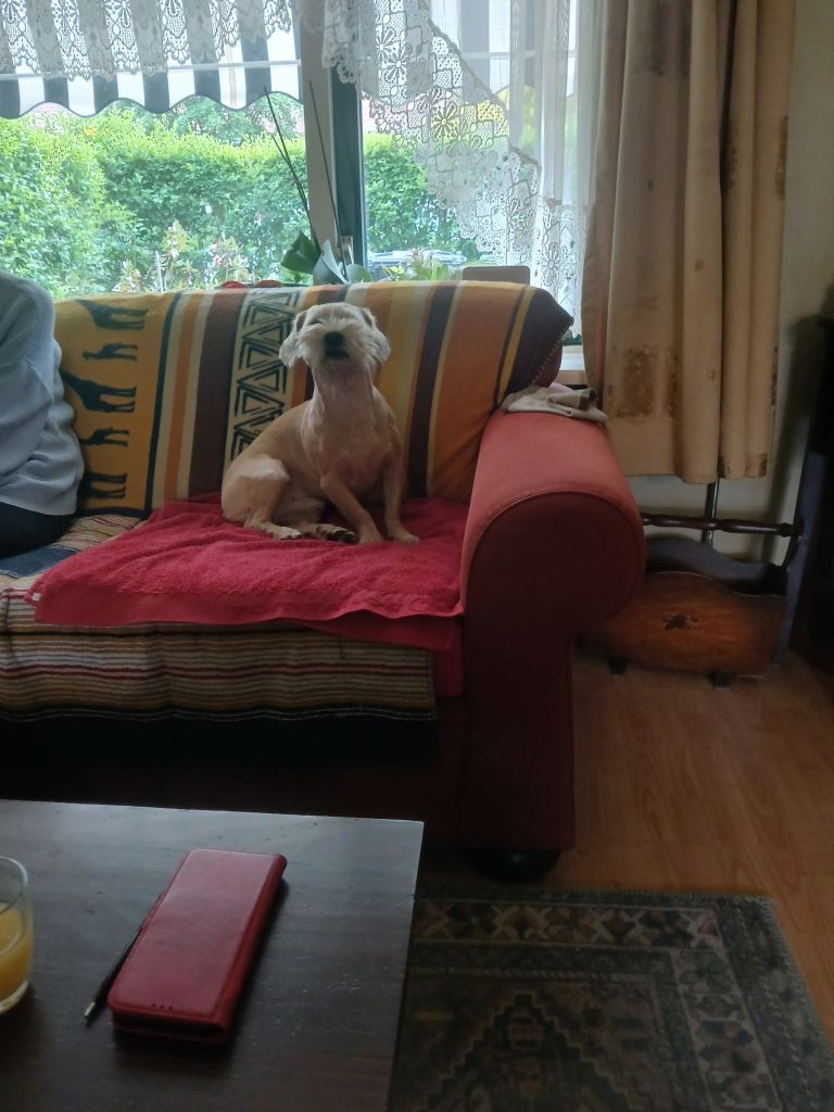 Bassie