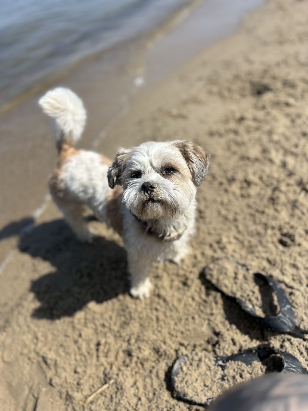 Teddi en Lotje