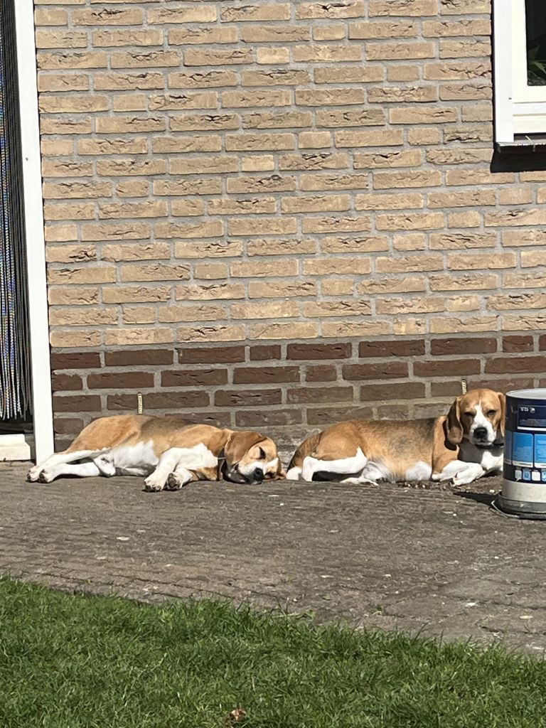 Bodhi en Max