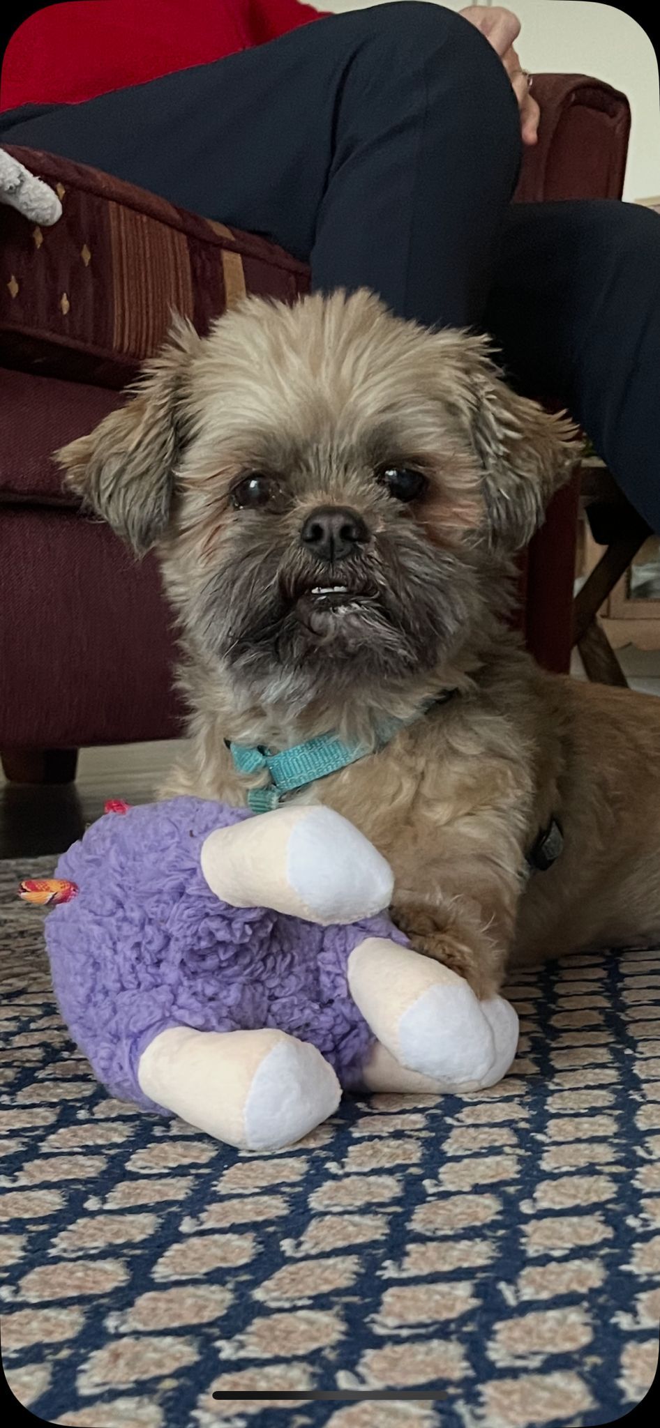 Tobi