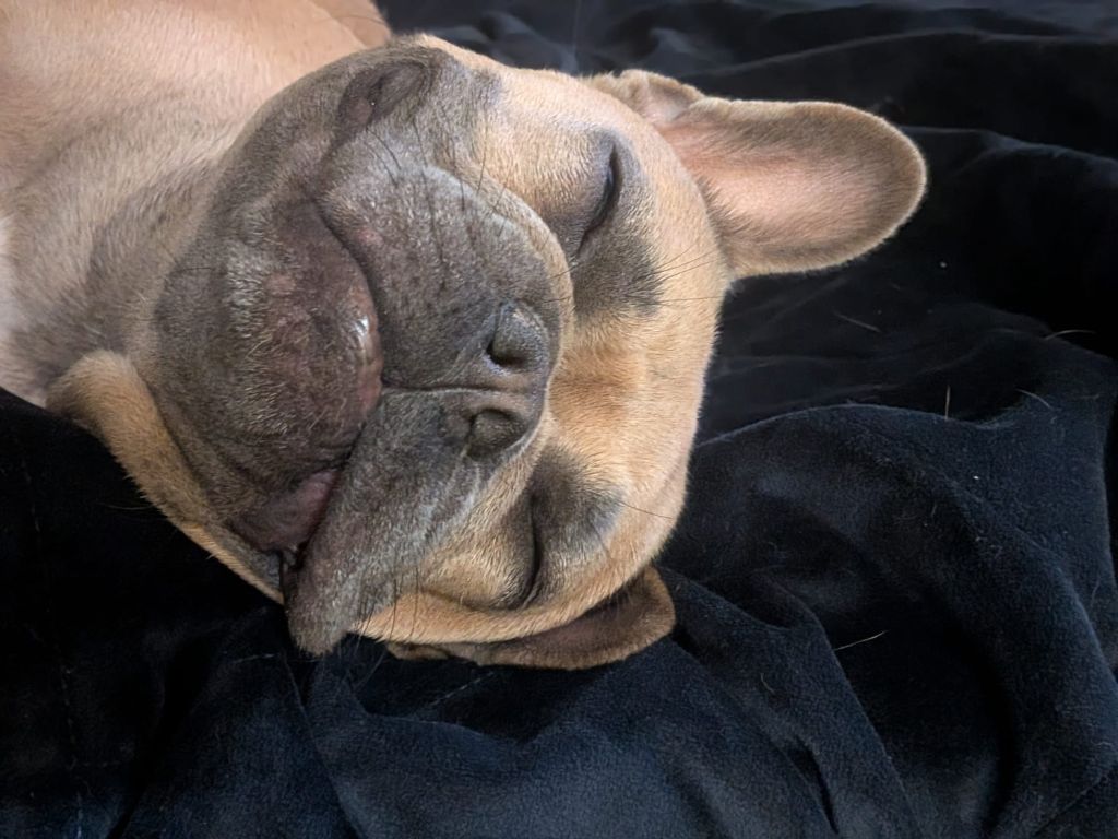 Coco