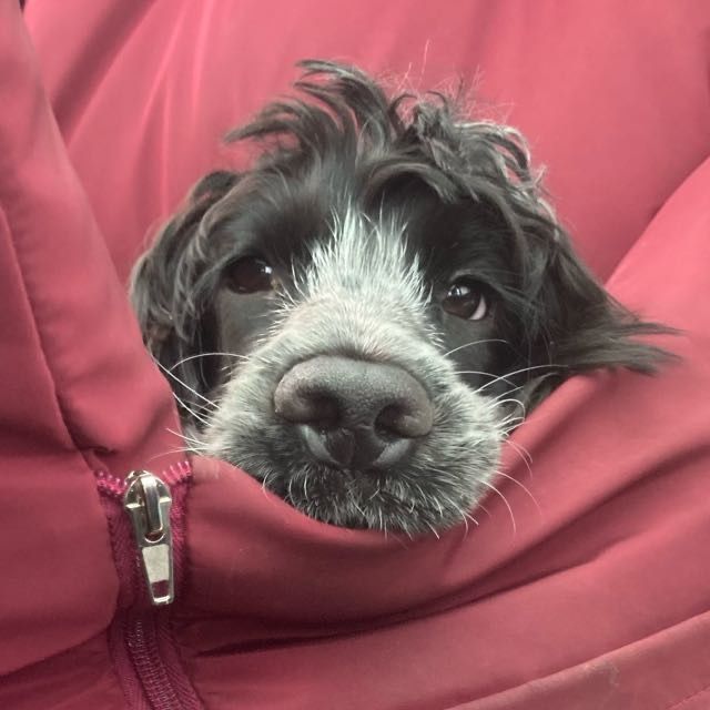 Keetje