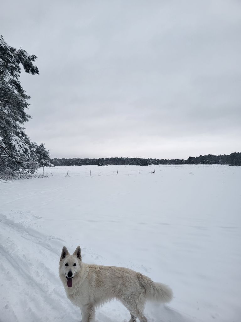 Ragnar