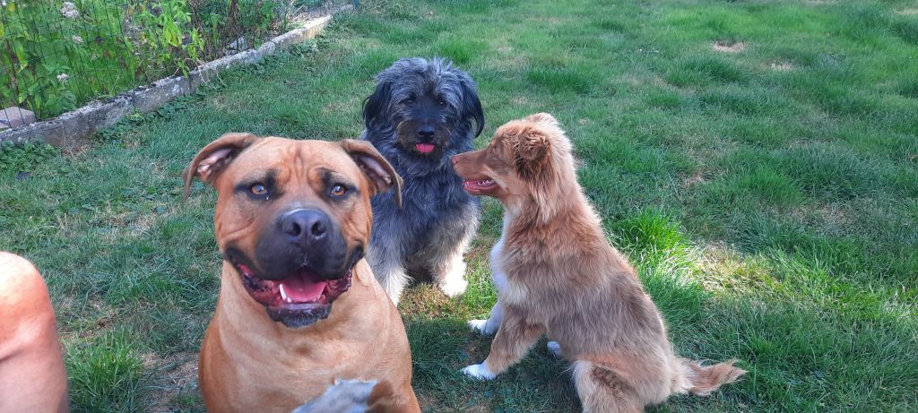 Tess en Boyke( linker 2)