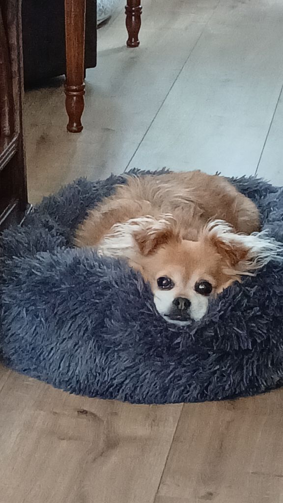 Sam