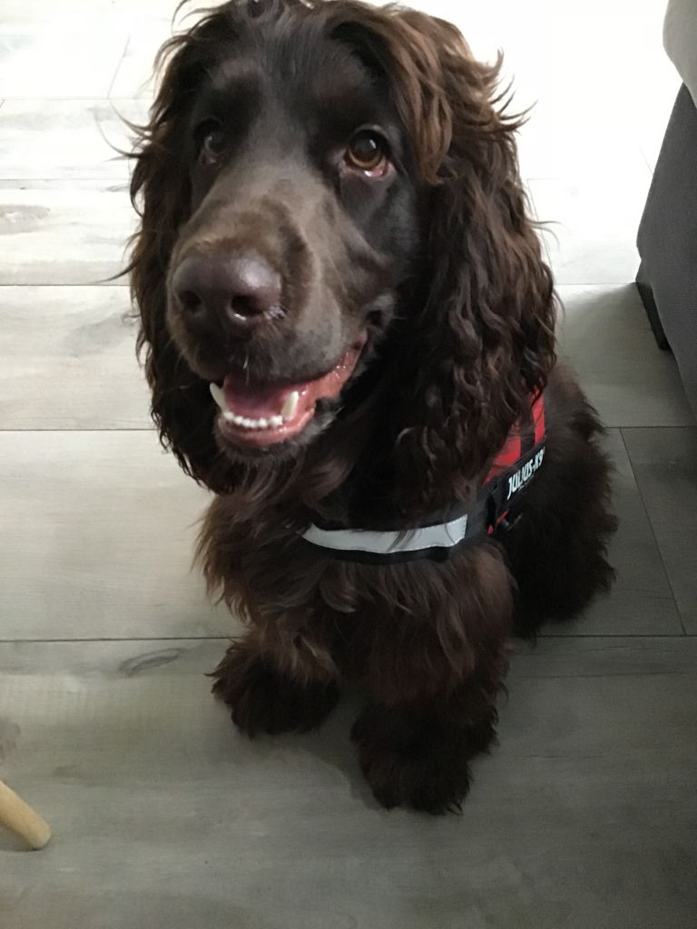 Bobby