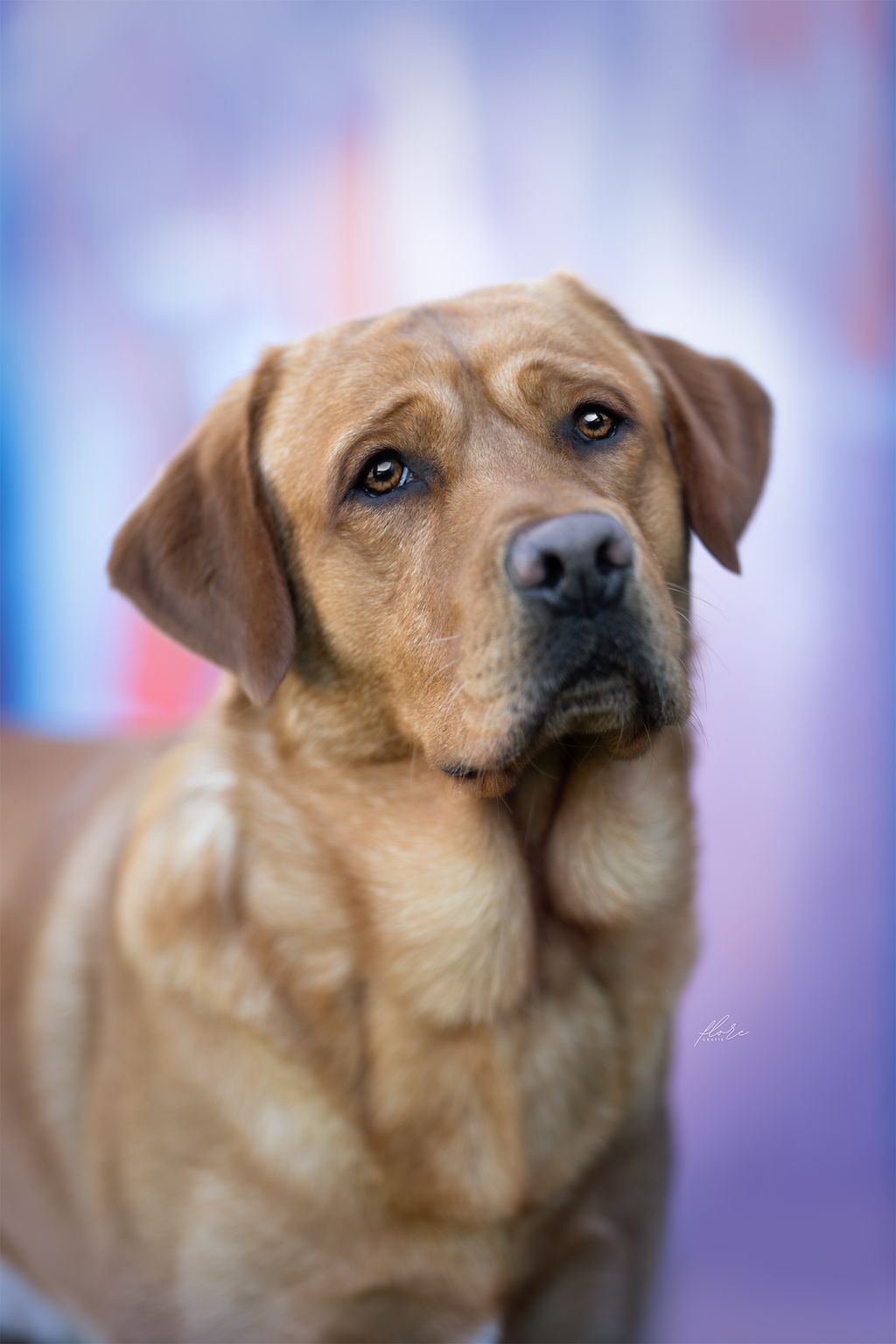 Charlie