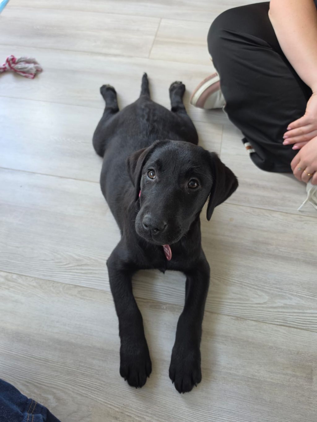 Luna