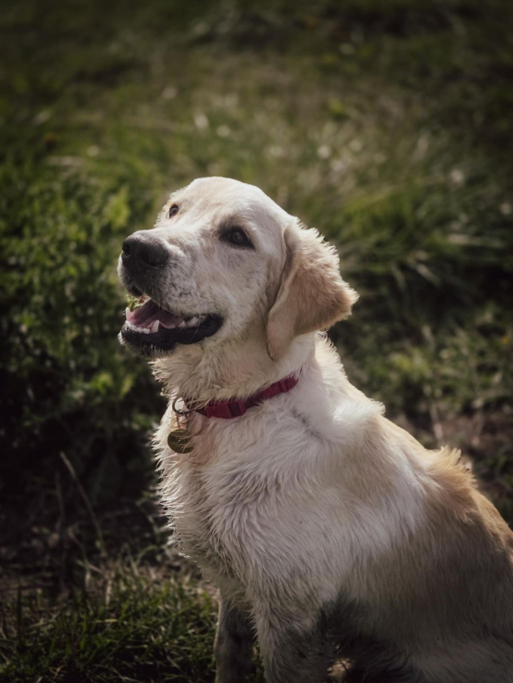 Marley